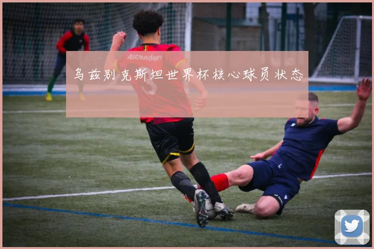 乌兹别克斯坦世界杯核心球员状态