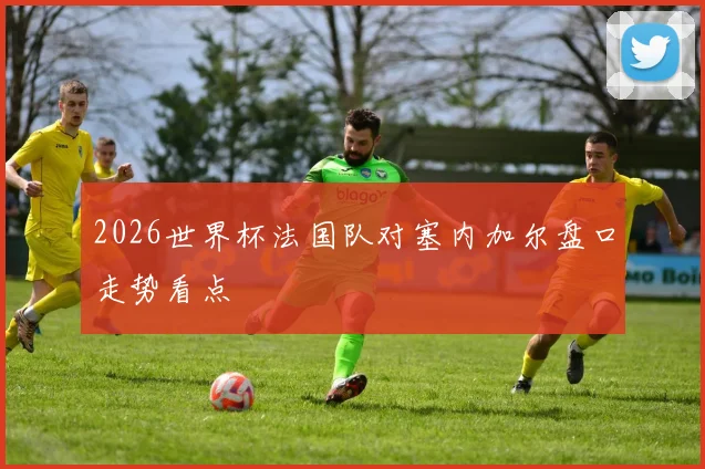 2026世界杯法国队对塞内加尔盘口走势看点